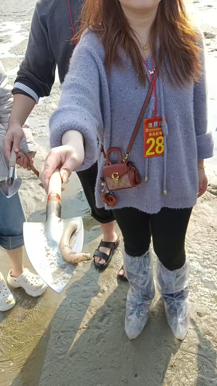 游客用铲子展示赶海挖到的海沙虫