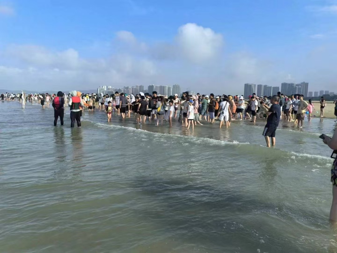 北海精品赶海游客在潮滩浅水区体验