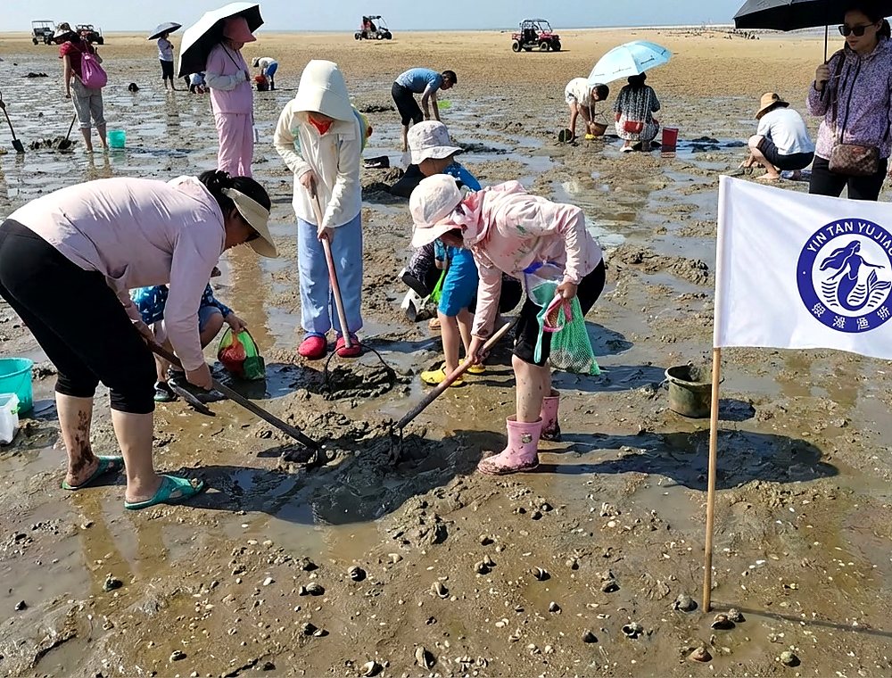 北海海滩赶海体验