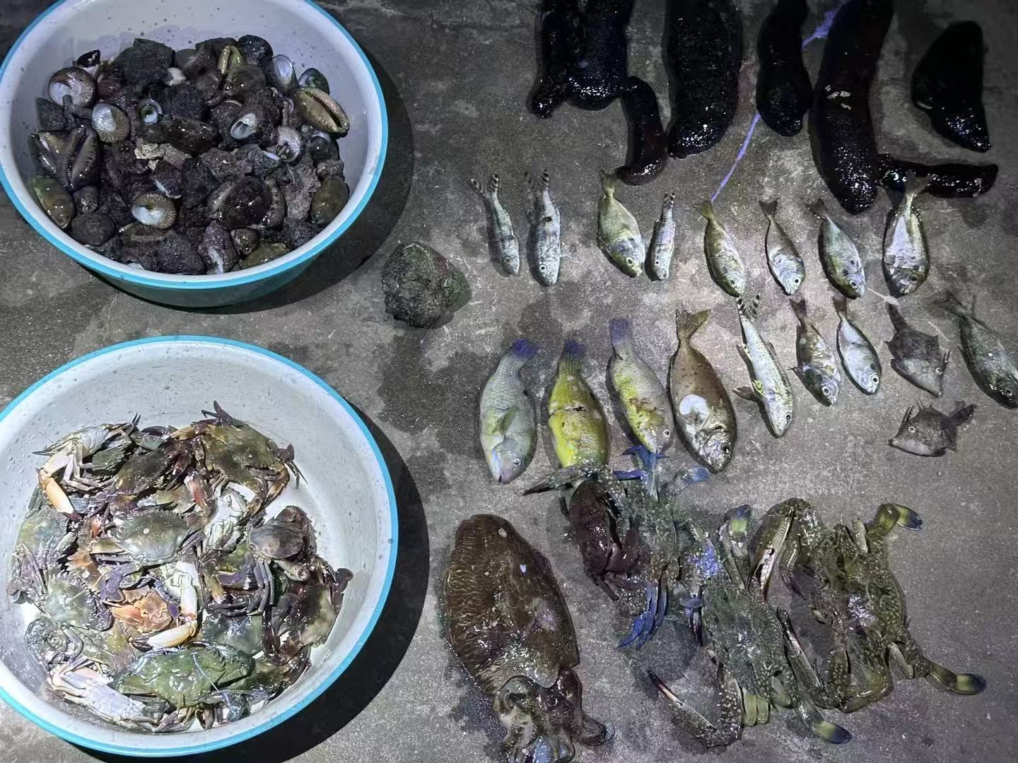 涠洲岛赶海鱼虾蟹收获