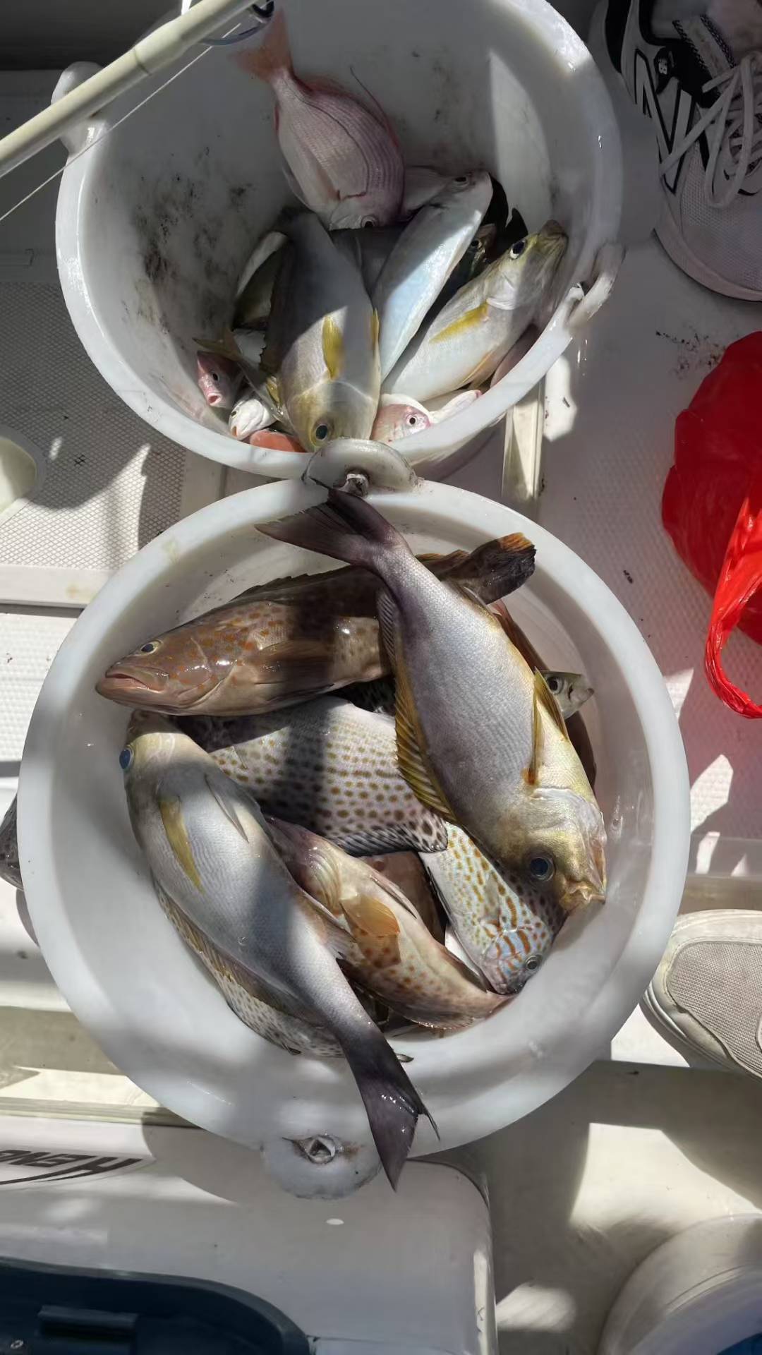 涠洲岛海上垂钓