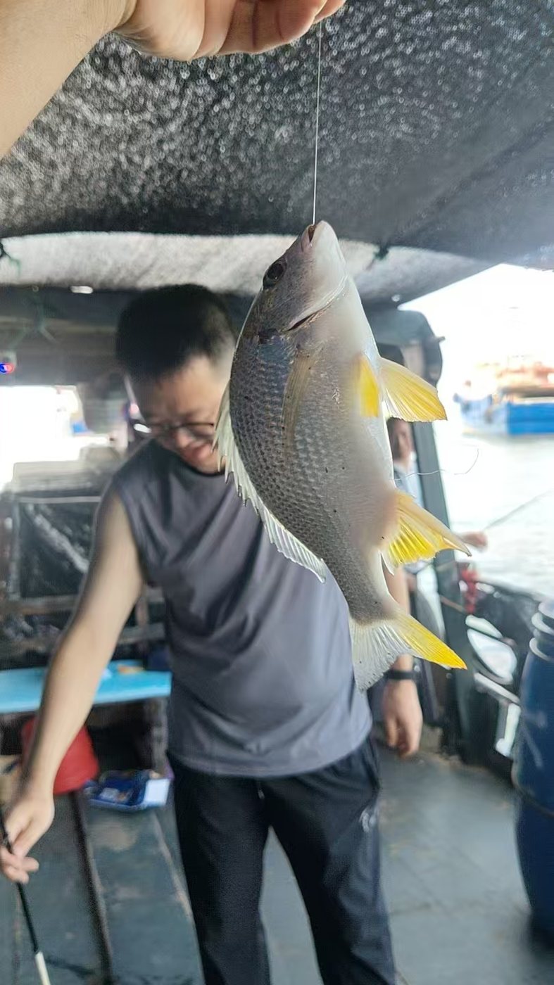 木船海钓钓竿钓上来的近海鱼获实拍
